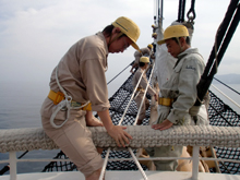 �o�E�X�s���b�g�o���傤�P��