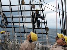 �o���傤�P������