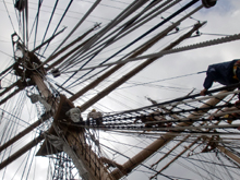 ���C���}�X�g�o���傤�P��