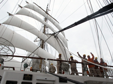 �������Ă���C����