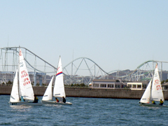 �o���̗l�q