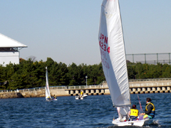 ���b�g���쒆�̓c������