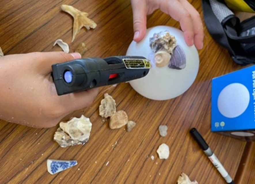 シェルランプ作り