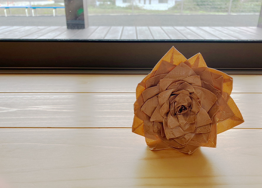 子どもが上手に写真撮影