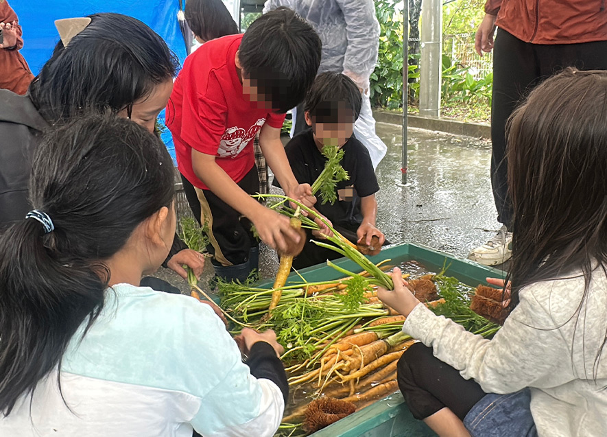 手洗いできれいに