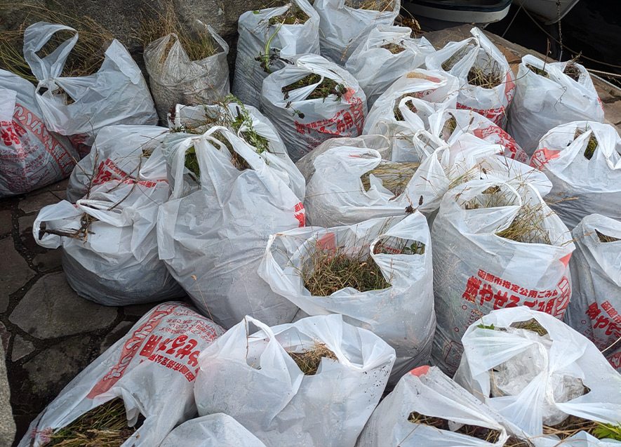 回収したごみ袋