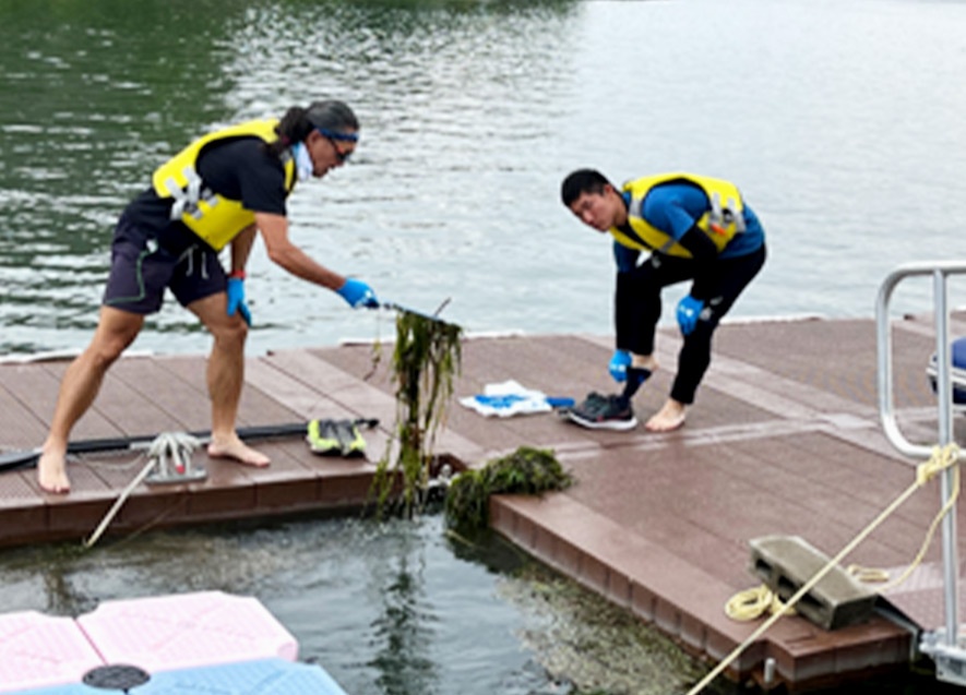 浮桟橋の水草等を除去