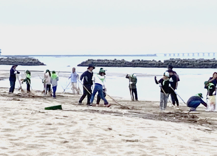 海岸清掃の様子
