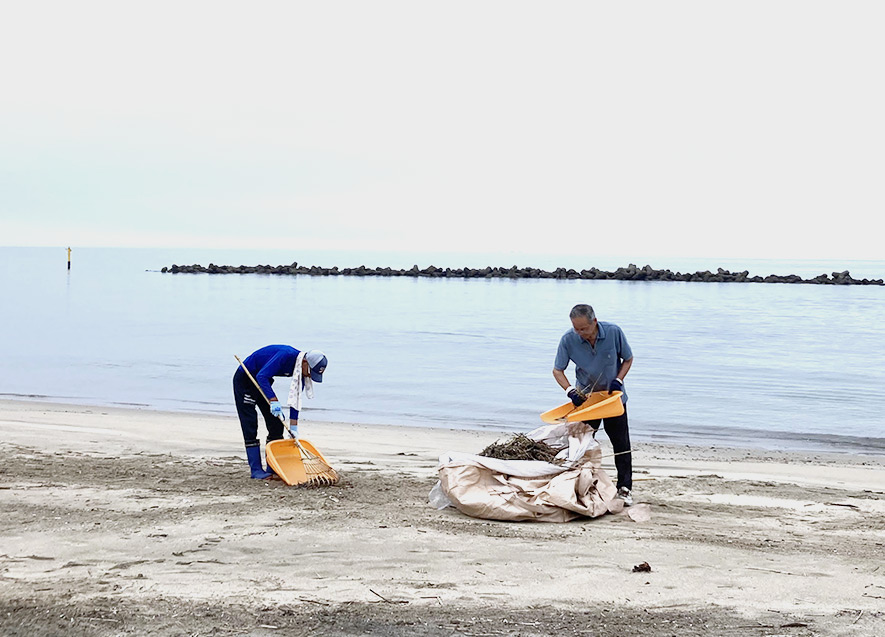 海岸清掃の様子