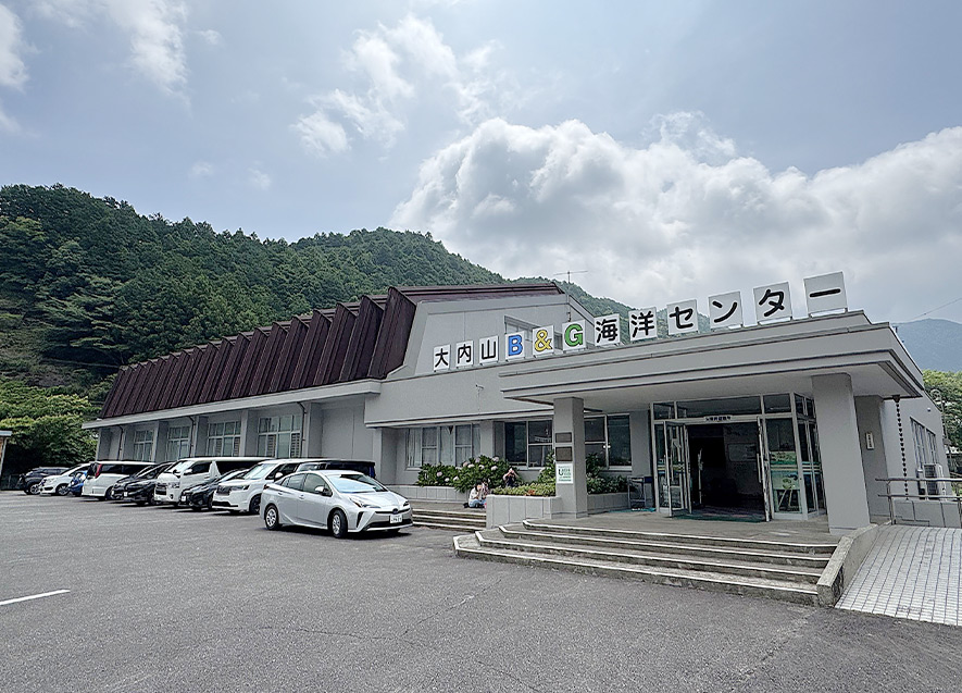 改修された屋根（外観）