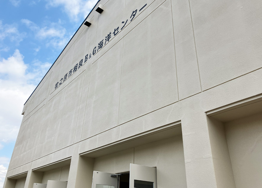 外壁塗装（西側）