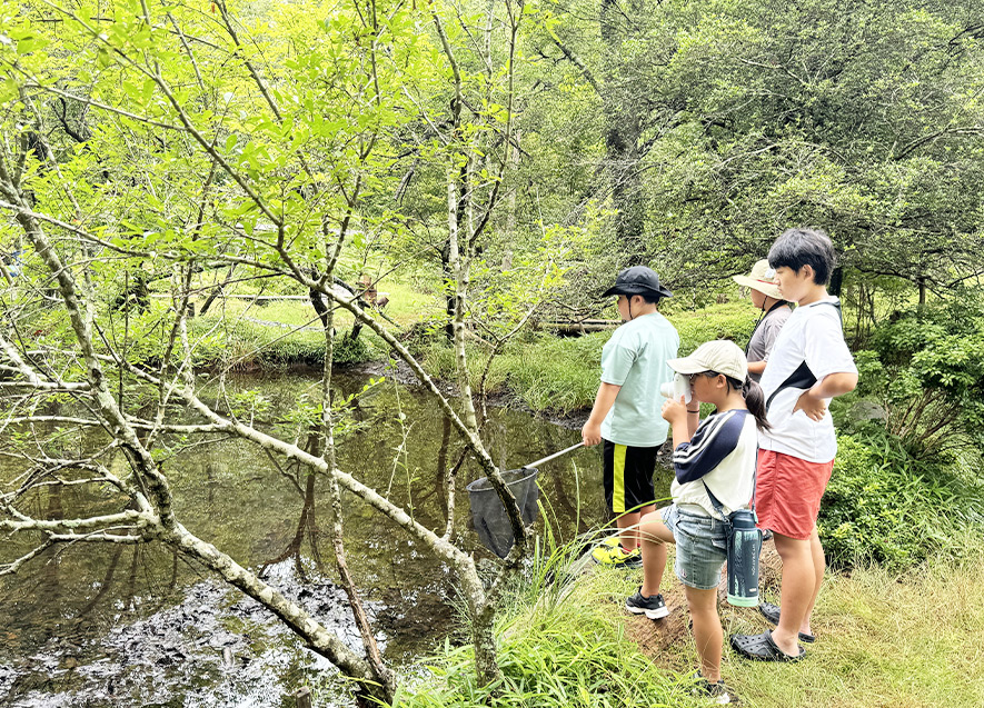 愛知県連の郷土教育「ビオトープの生物観察」
