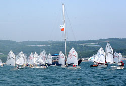 ���b�g�̌Q��