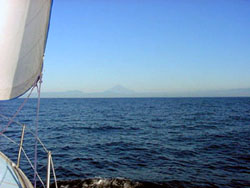 �D���猩��C�̕��i