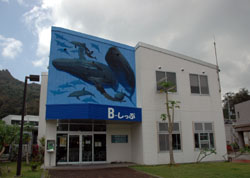 �z�G�[���E�H�b�`���O����