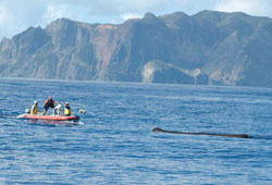 �N�W���̍s������