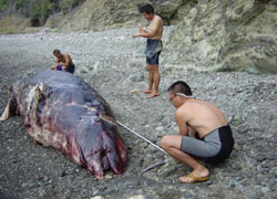 �Y���~����