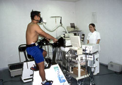 �G���S���[�^�[