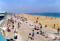 �C�x���g���̑��͘p�̗l�q