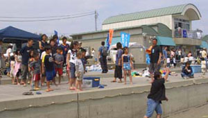 �r�[�`���g�����V��