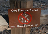 �A���𓥂܂Ȃ���