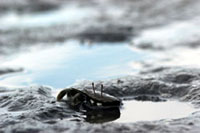 ���}�g�I�T�K�j