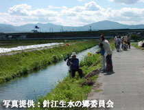 ���c�����w