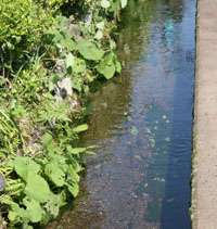 ���񂾐��������