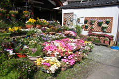 ����ɂ��ӂ��ԁX