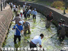 ���H�̑|�����i