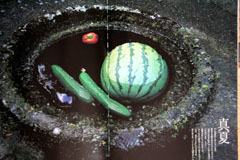 ���ɂ���X�C�J