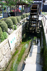 ���Ԃ̂��镗�i