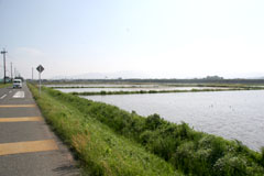 �������c�����i