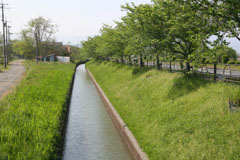 ���₩�ȕ��i