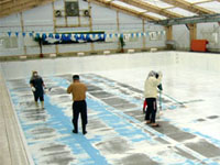 �{�����e�B�A�̊F����