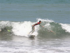 �����̗l�q