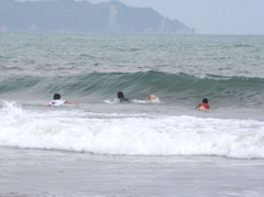 �T�[�t�B�����J��[�߂�