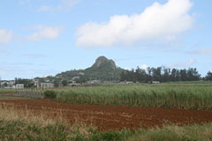 �T�g�E�L�r��