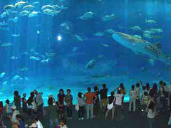 ���E��̐���