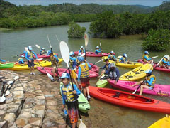 �J�k�[�̌�