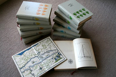 �C�m���N�`�������̌���