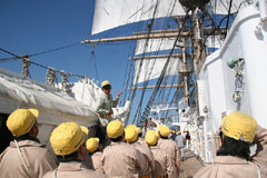 �u�a���f�w���҃t�H���[�A�b�v���C�v