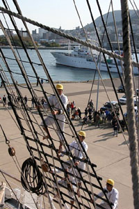 �}�X�g�̂ڂ�