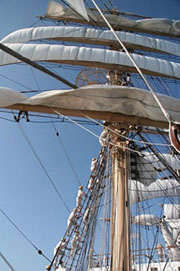 �Z�C���̓W�J