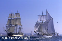 �吼�m���f���D���[�X