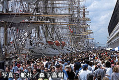 �{�X�g���̍`