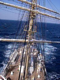 ���C���}�X�g����Ղ�