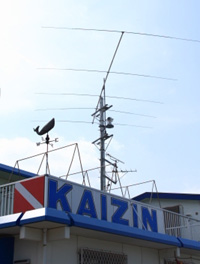 ����̃A���e�i