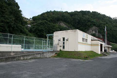 �X�������J