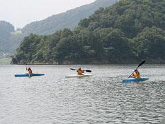 ���K�ɗ�ފw��